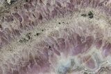 Sowbelly Agate (Amethyst) Slab - Colorado #236599-1
